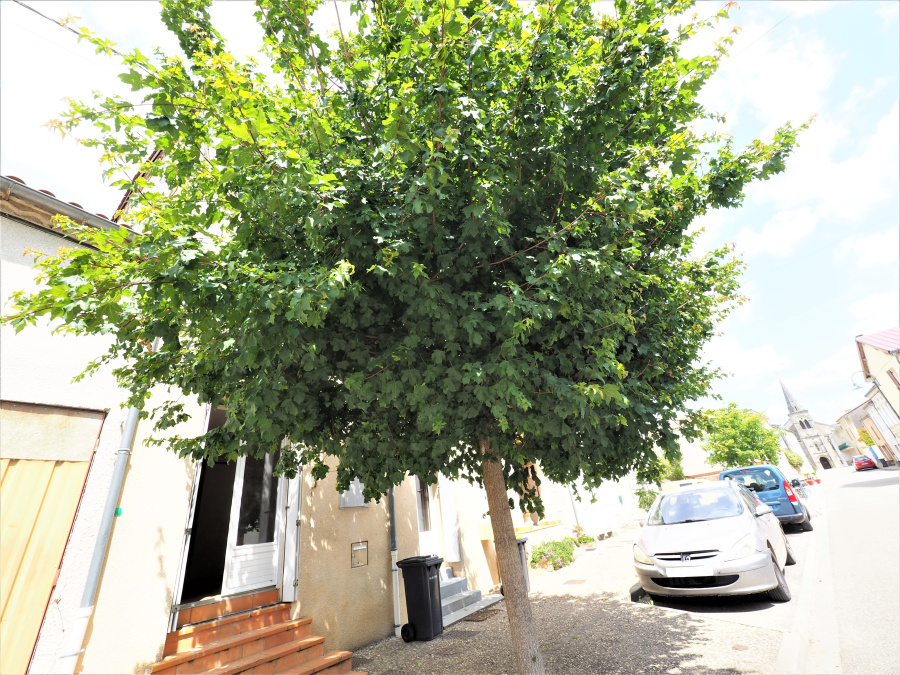 Image_1, Maison, Couthures-sur-Garonne, ref :7765