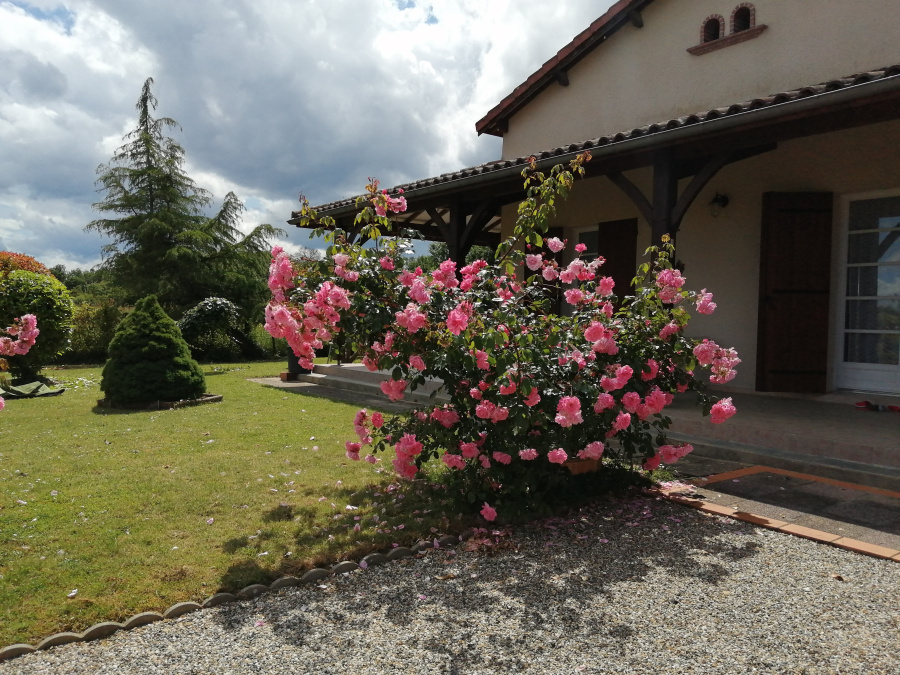 Image_10, Maison, Samazan, ref :8082