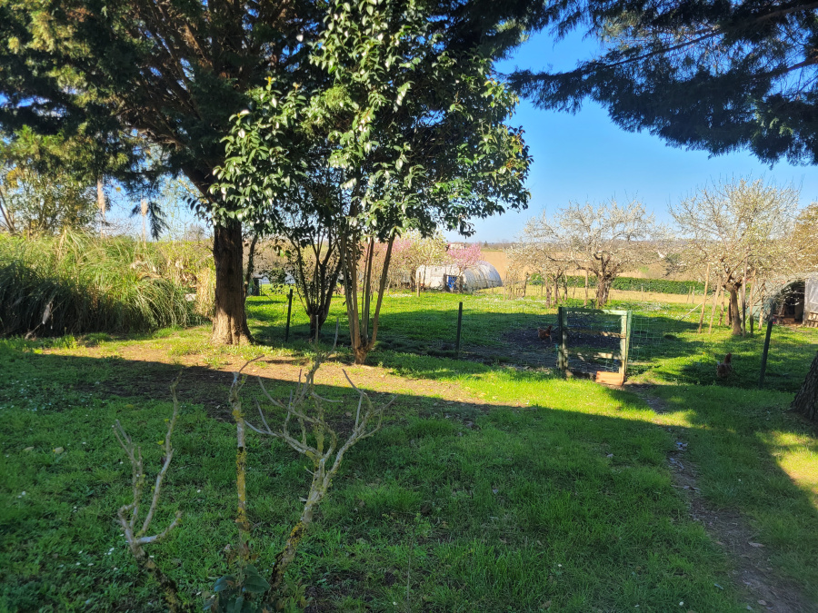 Image_2, Maison, Sainte-Bazeille, ref :8245