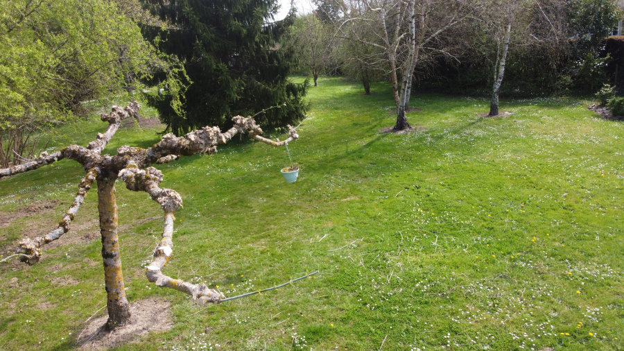 Image_11, Maison, La Réole, ref :8065