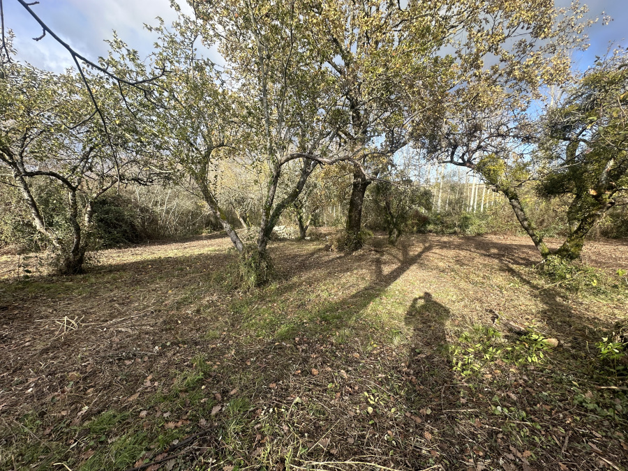 Image_14, Maison, Marmande, ref :8192