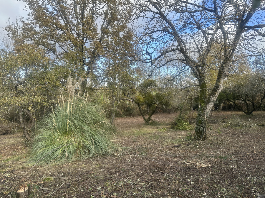 Image_15, Maison, Marmande, ref :8192