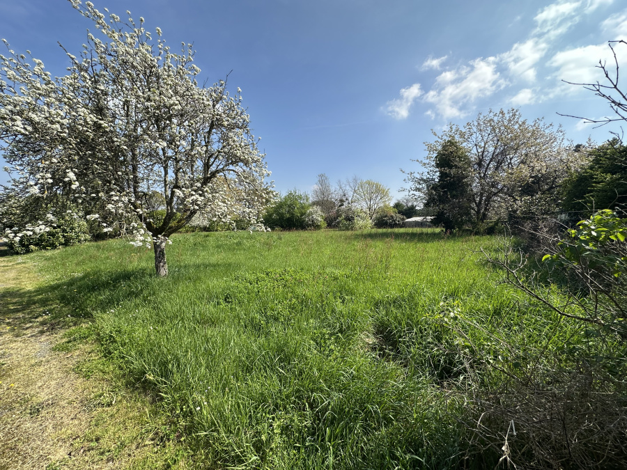 Image_3, Terrain à batir, Beaupuy, ref :8233