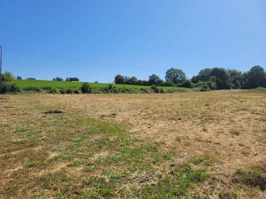 Image_1, Terrain à batir, Seyches, ref :8153