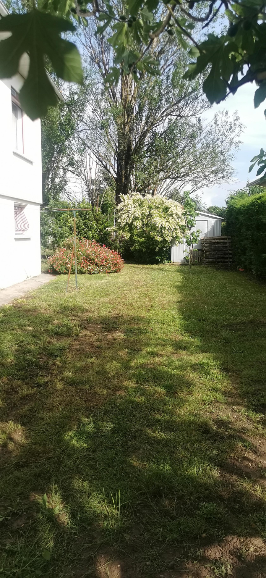 Image_2, Maison, Marmande, ref :L 3